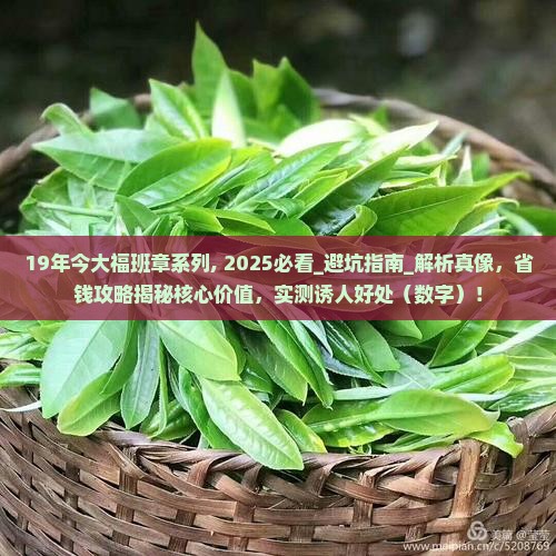 19年今大福班章系列