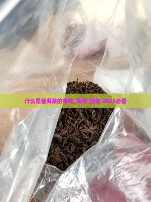 什么是普洱茶的单株