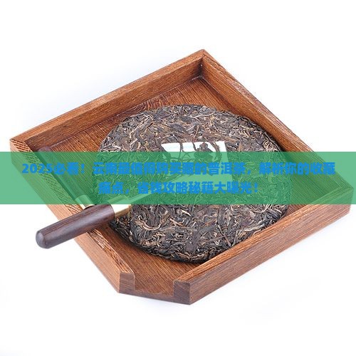 云南最值得购买藏的普洱茶