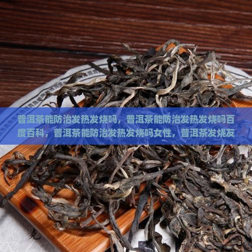普洱茶能防治发热发烧吗