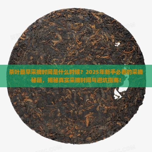茶叶最早采摘时间