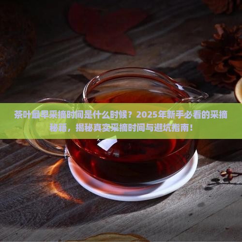 茶叶最早采摘时间