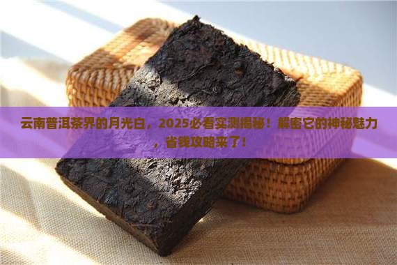 云南的普洱茶中的月光白 云南的普洱茶中的月光白