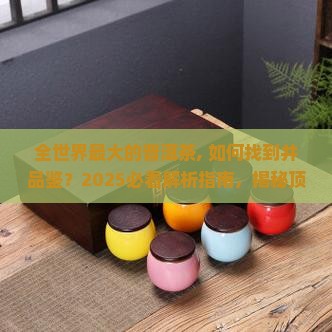 全世界最大的普洱茶
