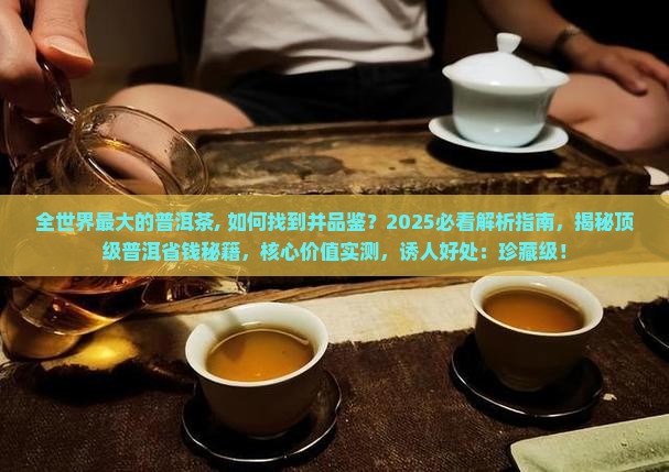 全世界最大的普洱茶