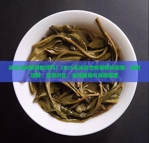冰岛古树茶什么样子