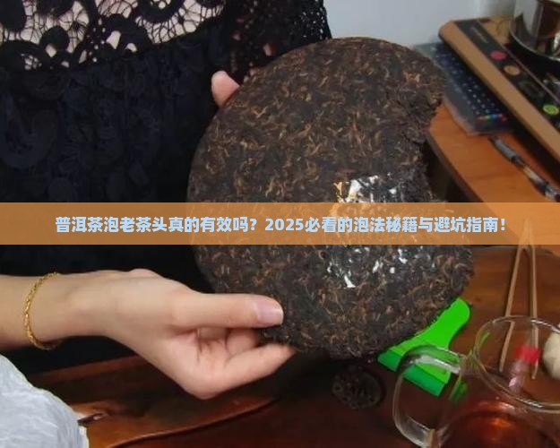 普洱茶泡老茶头