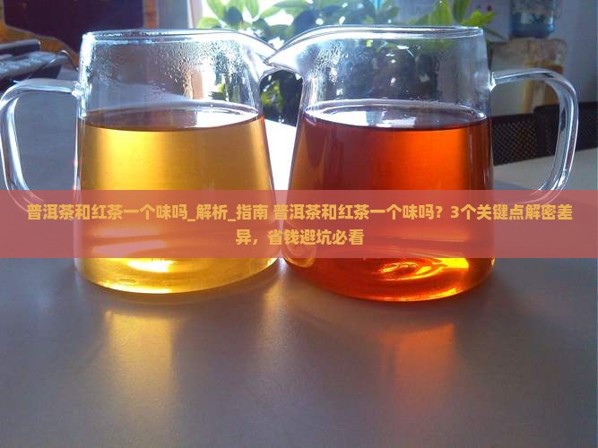 普洱茶和红茶一个味吗