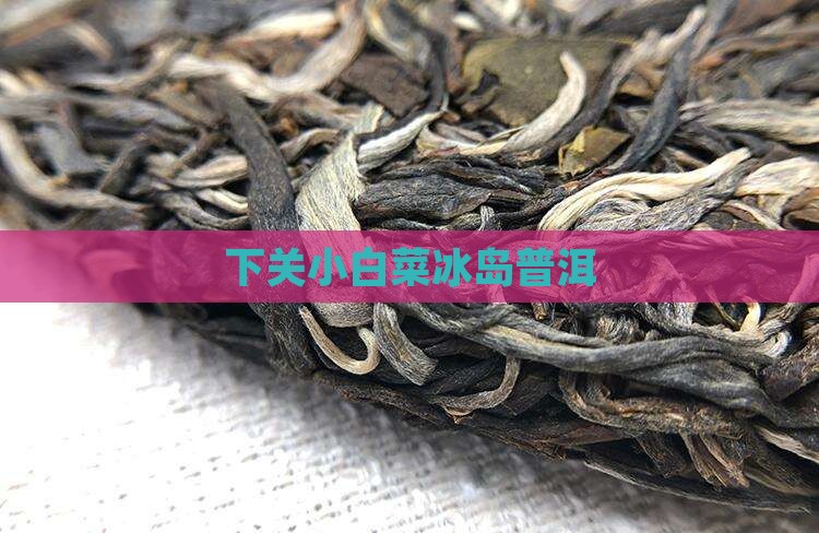 下关精品小白菜冰岛茶区