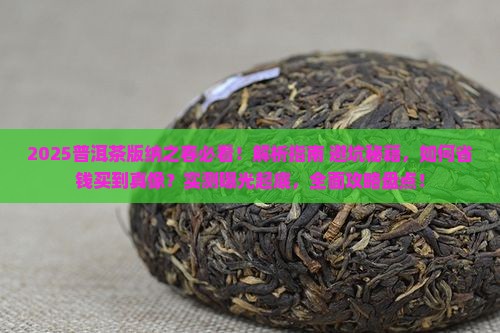 普洱茶版纳之春