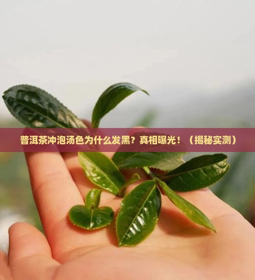 普洱茶冲泡汤色为什么发黑