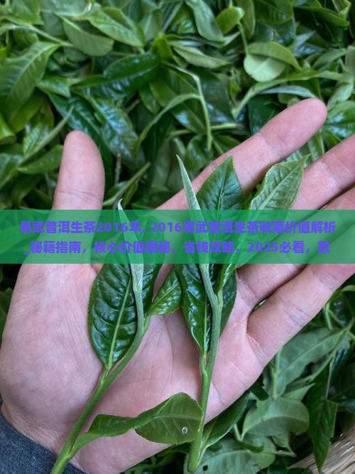 易武普洱生茶2016年