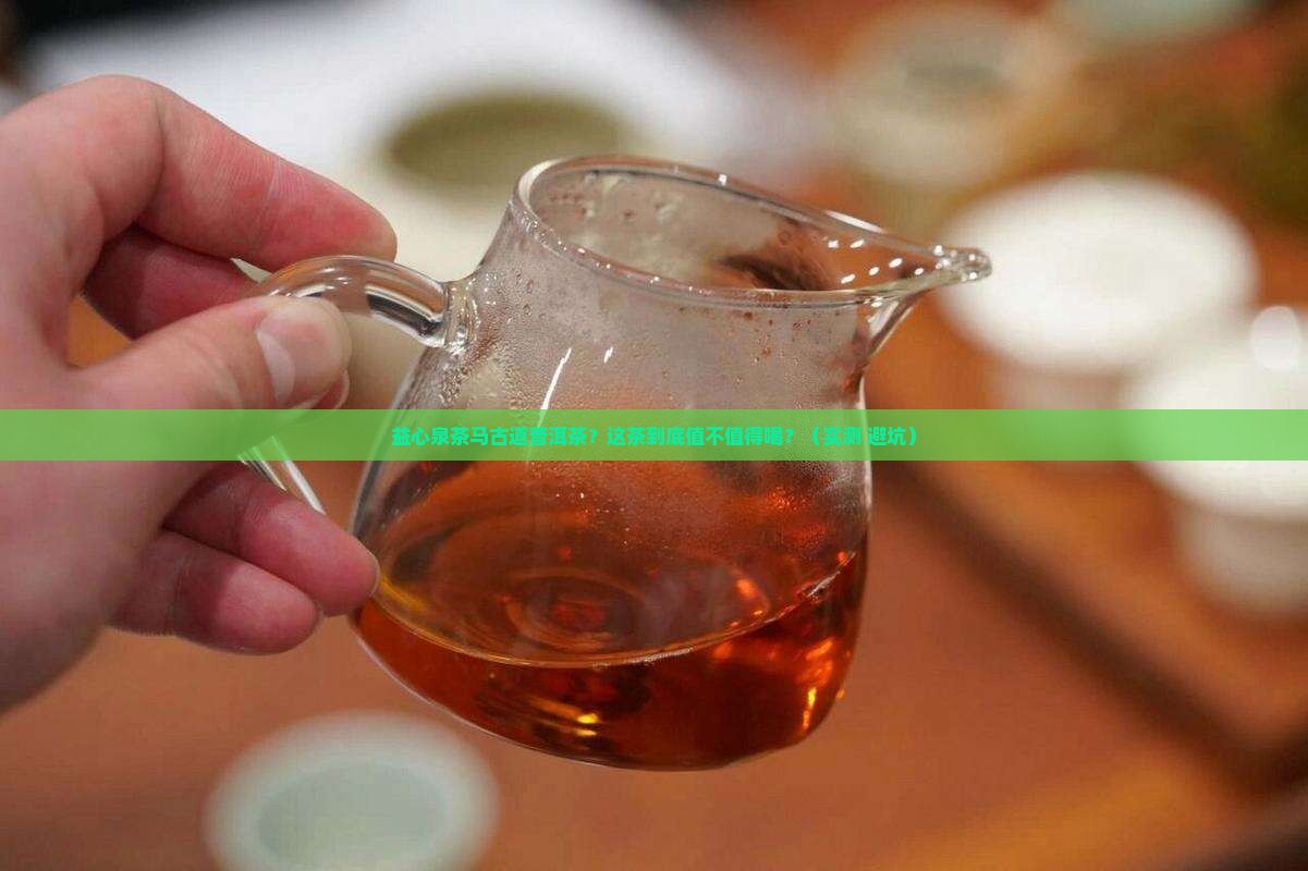 益心泉茶马古道普洱茶