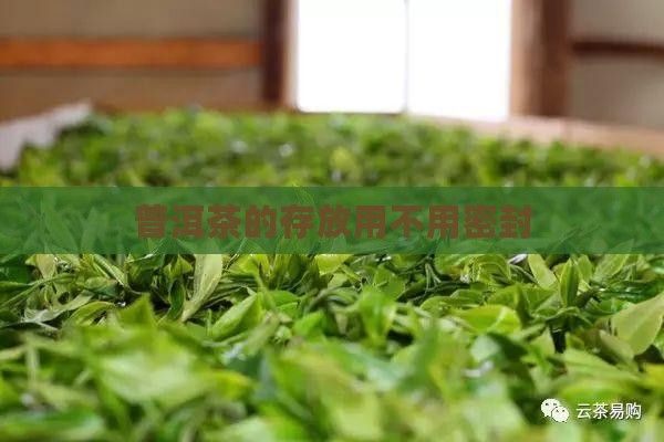 普洱茶的存放用不用密封