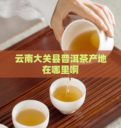 云南大关县普洱茶产地在哪里