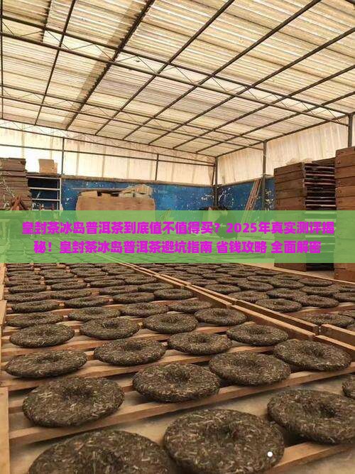 皇封茶冰岛普洱茶