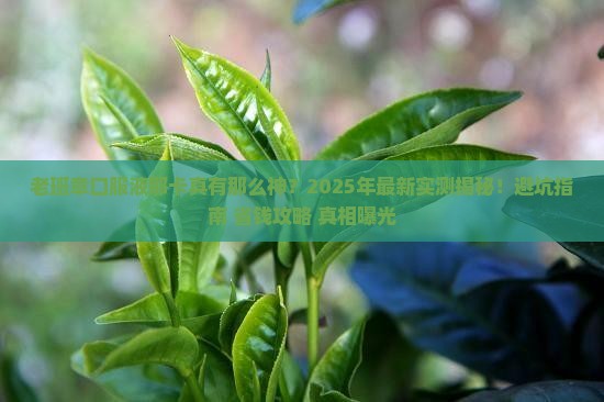老班章口服液那卡
