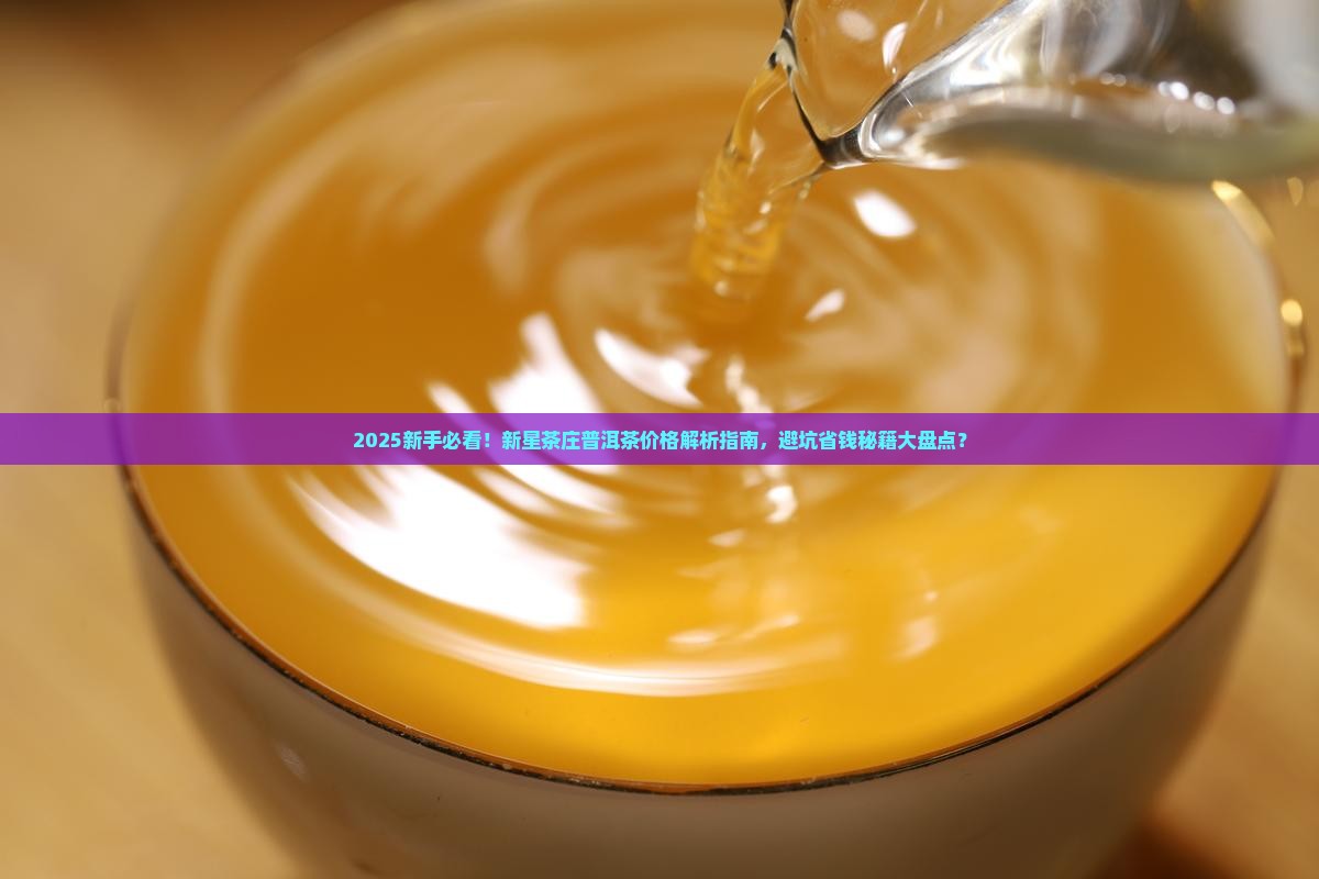 新星茶庄普洱茶价格