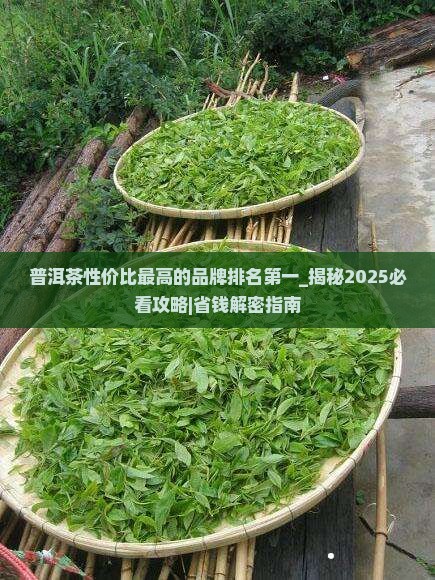 普洱茶性价比最高的品牌排名第一