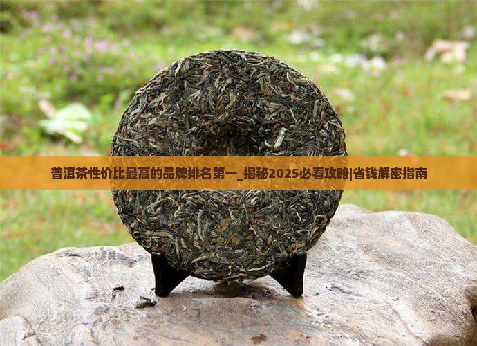 普洱茶性价比最高的品牌排名第一
