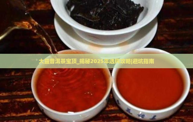 大益普洱茶宝顶