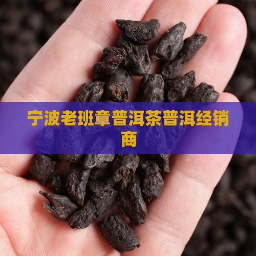 宁波老班章经销商