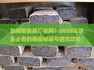 勐海聚茗茶厂官网