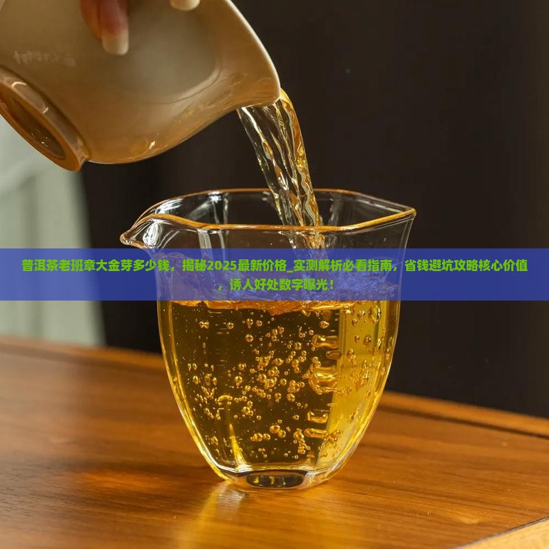 普洱茶老班章大金芽多少钱