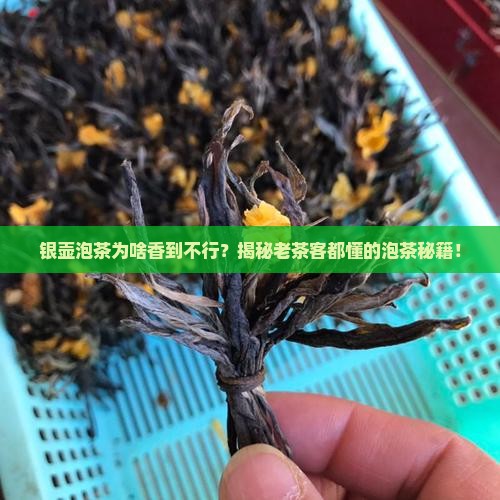为什么银壶泡茶特别香