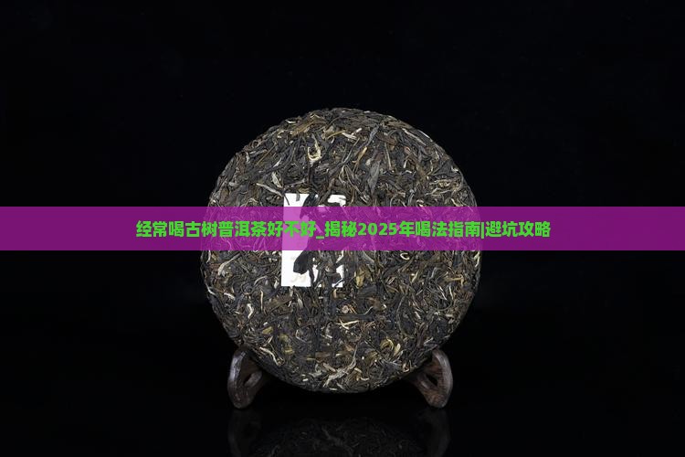 经常喝古树普洱茶好不好