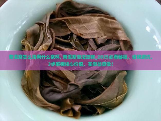 普洱茶怎么泡用什么茶杯