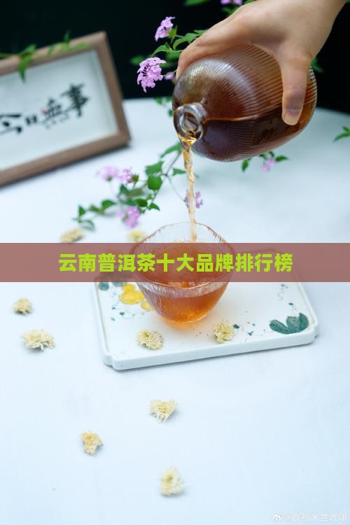 云南普洱茶20名牌