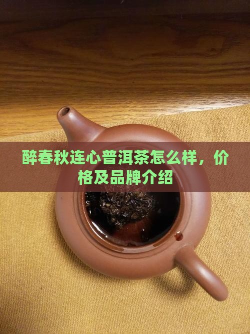 醉春秋连心普洱茶怎么样