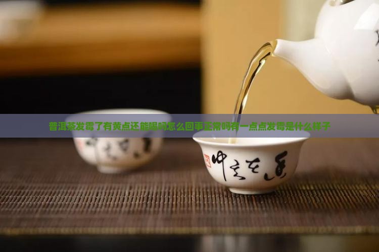 普洱茶发霉了有黄点