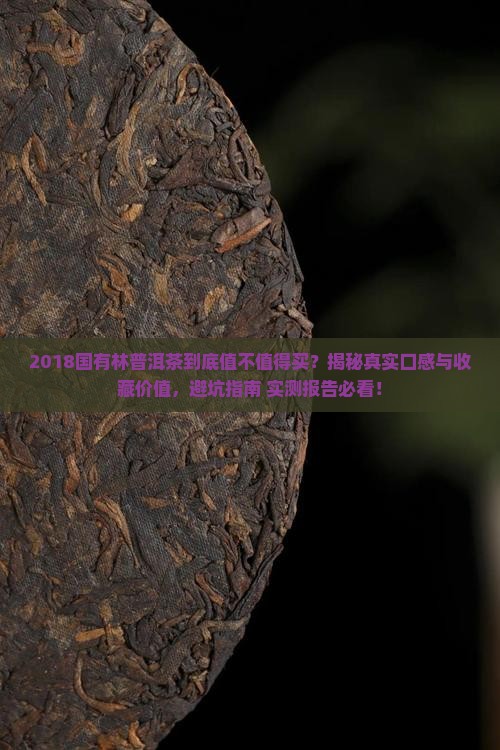 2018国有林普洱茶