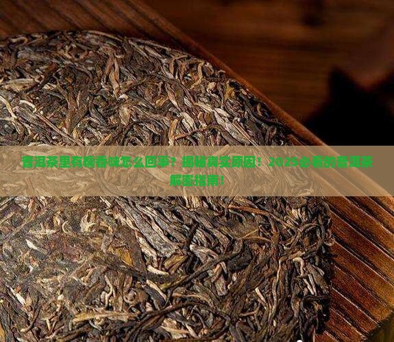 普洱茶里有糯香味怎么回事