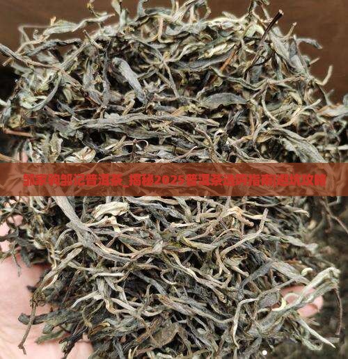 邹家驹邹记普洱茶