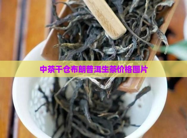 中茶干仓布朗一提