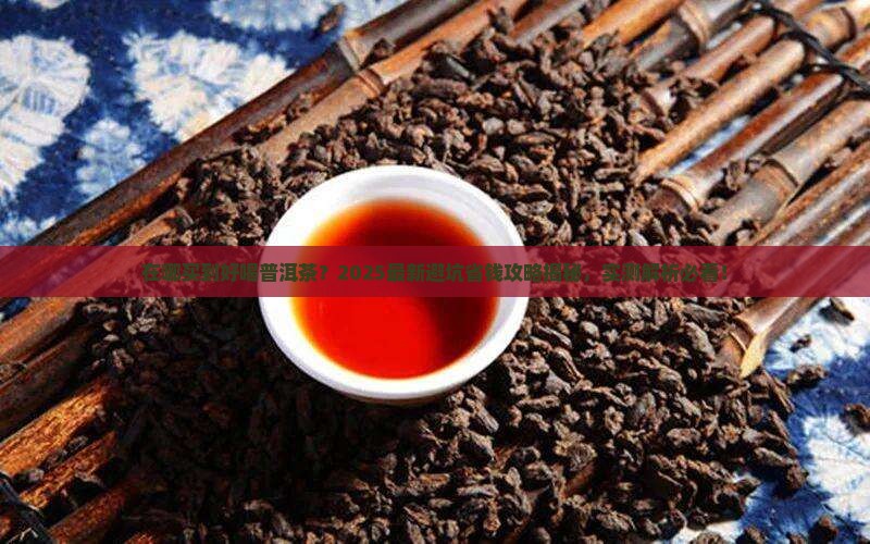 在哪买到好喝普洱茶