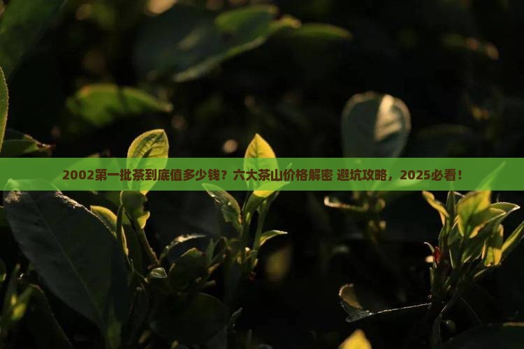 六大茶山2002第一批茶价格