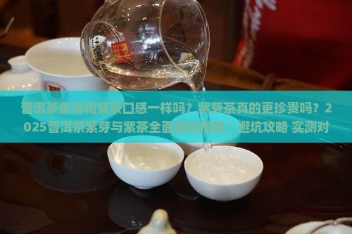 普洱茶紫芽和紫茶口感一样吗