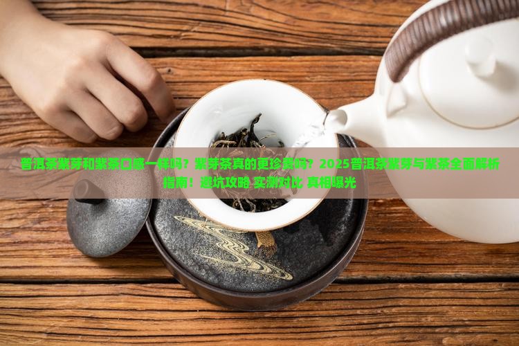 普洱茶紫芽和紫茶口感一样吗