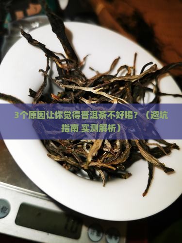 普洱茶怎么感觉不好喝