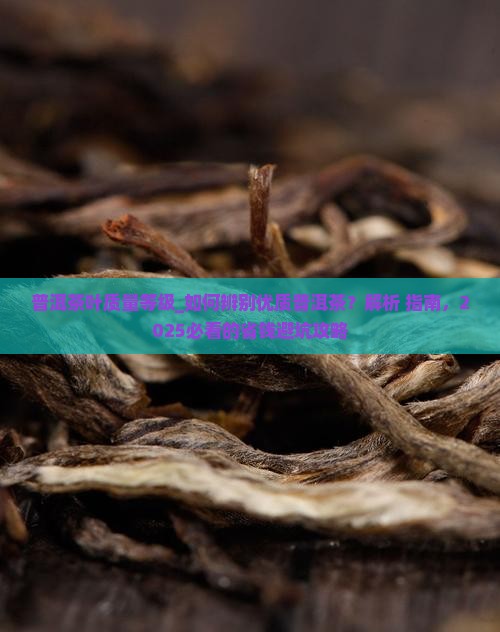 普洱茶叶质量等级
