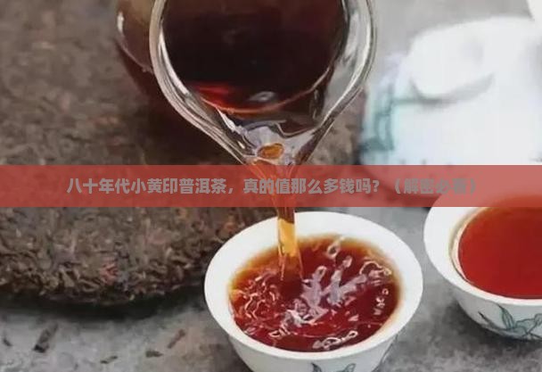 中茶八十年代小黄印普洱茶