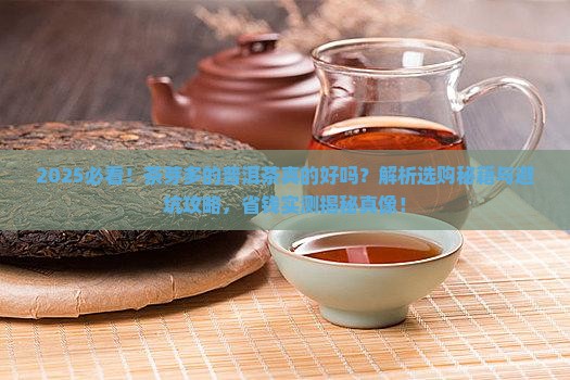 茶芽多的普洱茶好吗