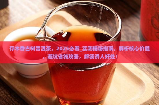 存木香古树普洱茶