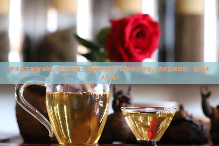 存木香古树普洱茶