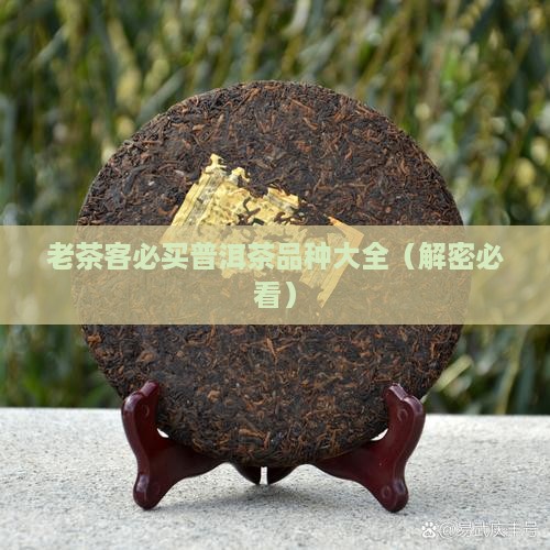 老茶客必买普洱茶品种大全