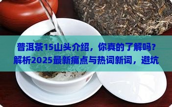 普洱茶15山头介绍
